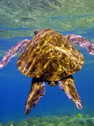 Kona Shores...the end. by Glenn Poulain 